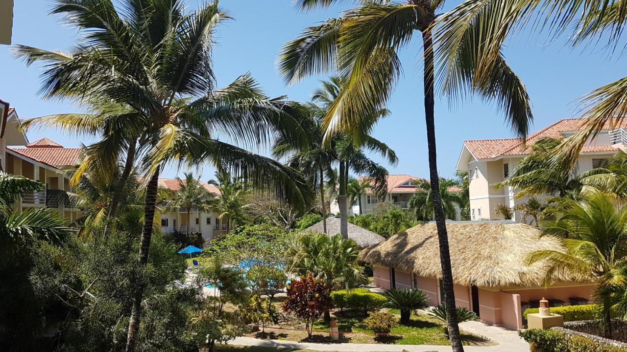 Cozy Garden Oasis Steps To The Beach Cabarete Kültér fotó